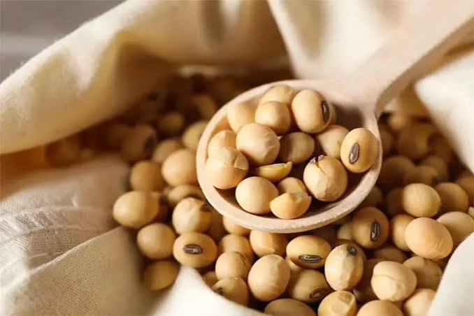 India's Soybean Output to Fall 2.11%: Can Madhya Pradesh and Rajasthan Offset Maharashtra's Crop Losses?