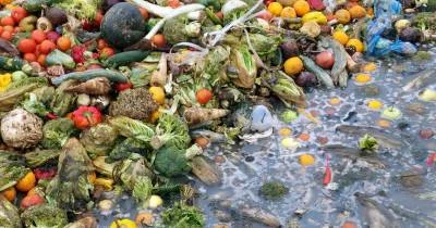 Can Food Processing Be India’s Secret Weapon Against Food Waste? Here’s Why It Matters