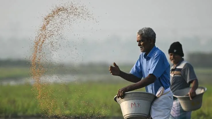 El Niño impact on rabi crops