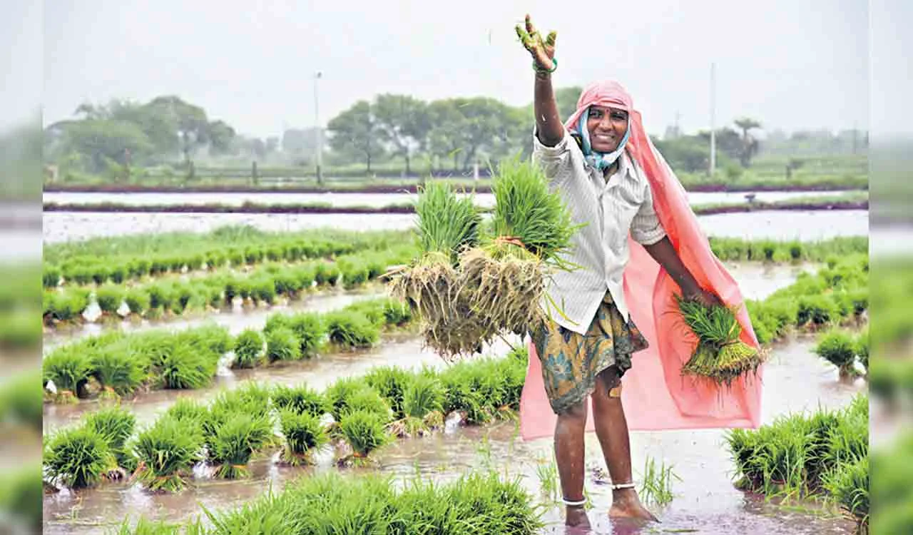 Telangana crop diversification
